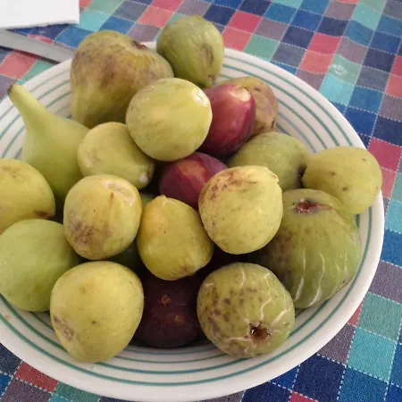 Alba E Tramonto Apartamento *